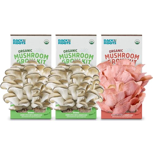 Back To The Roots Organic Mushroom Grow Kit Pack Oyster, Oyster &Amp; Pink Harvest Gourmet Mushroom In Just Days