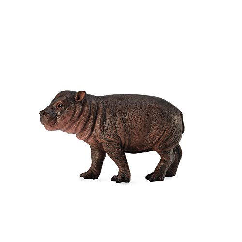 Collecta Wildlife Pygmy Hippopotamus Calf Toy Figure   Authentic Hand Painted Model